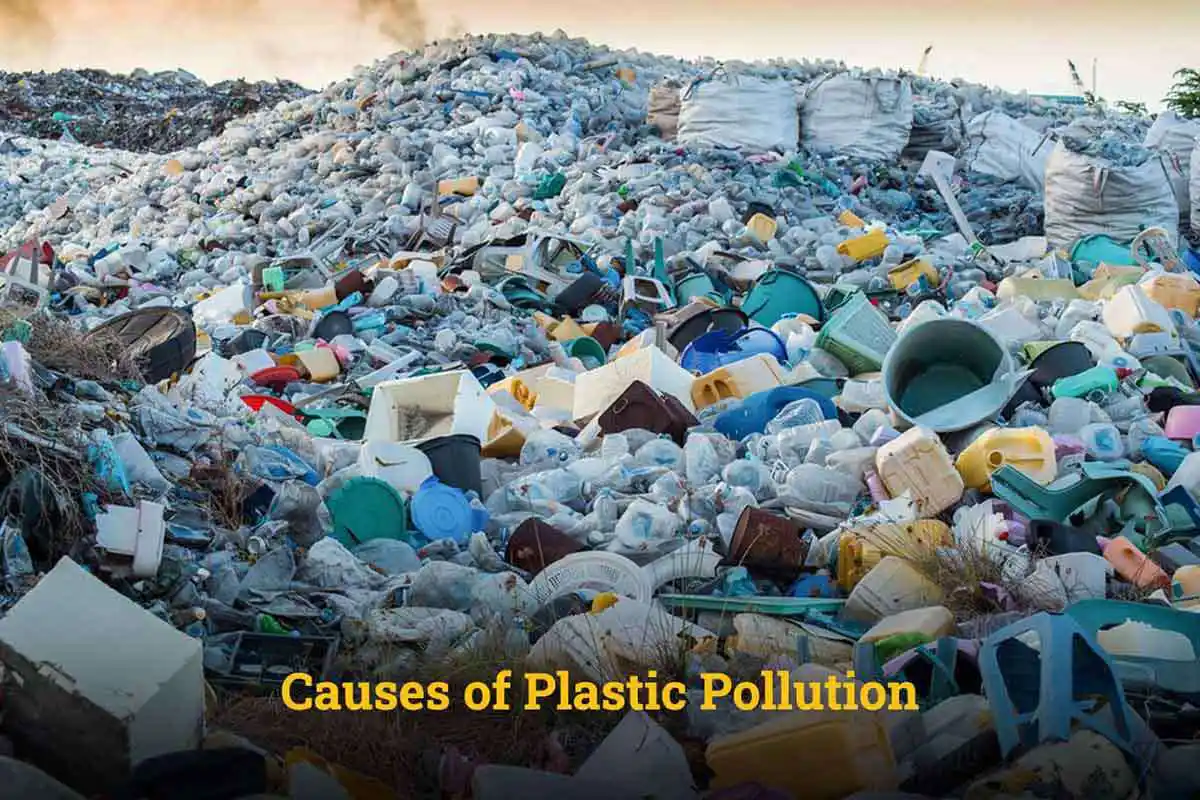 Causes of Plastic Pollution