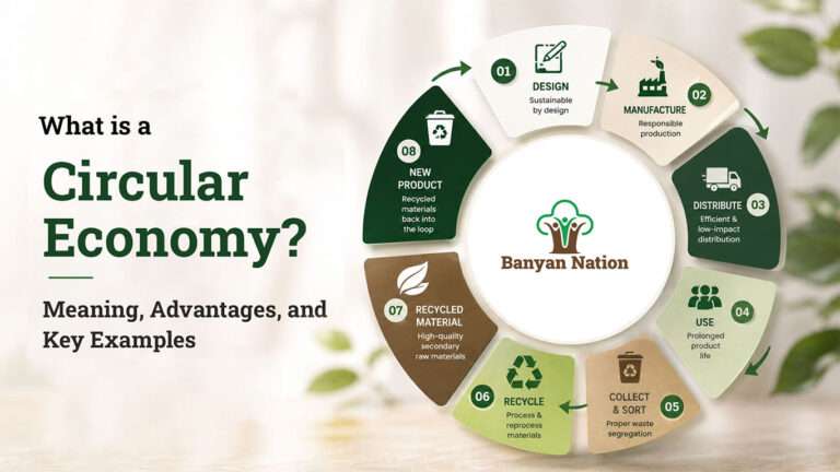 What is a Circular Economy