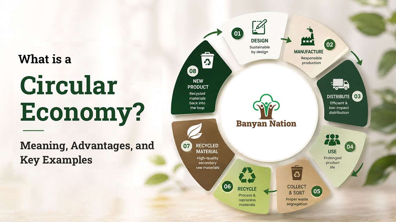 What is a Circular Economy