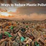 10 Ways to Reduce Plastic Pollution