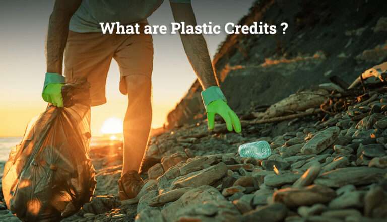 What are Plastic Credits