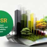 Business Responsibility and Sustainability Report (BRSR Report)