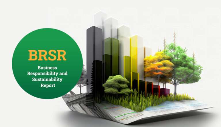 Business Responsibility and Sustainability Report (BRSR Report)