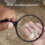 What Are Microplastics