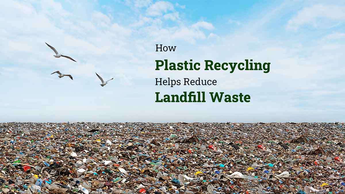 How Plastic Recycling Helps Reduce Landfill Waste